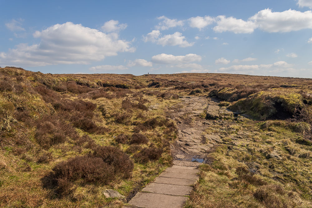 Brown Knoll Brown Knoll